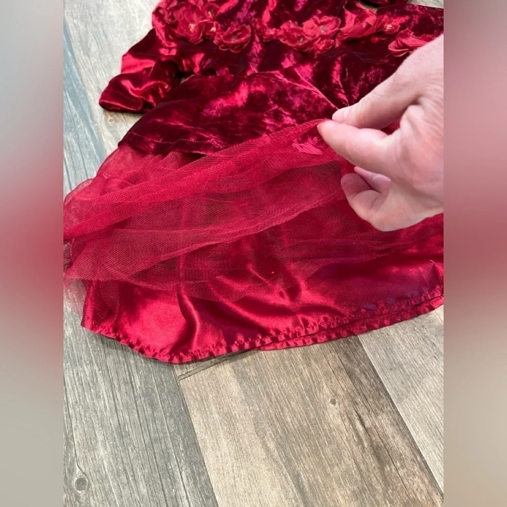 Disney Store Belle Red Velvet Holiday Special Dress Costume Beauty & Beast Sz 3